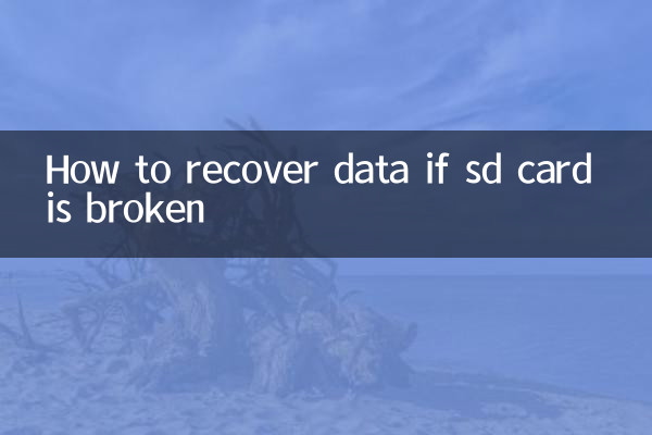 So stellen Sie Daten wieder her, wenn die SD-Karte defekt ist