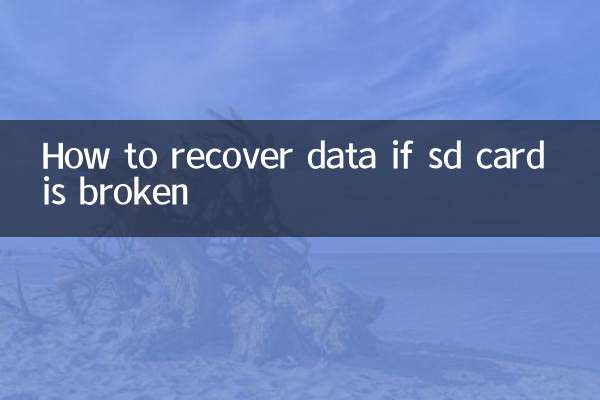 sd卡壞了怎麼恢復數據