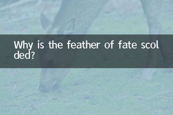 Warum wird die Feder des Schicksals gescholten?