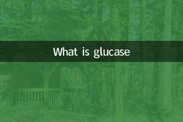 グルカーゼとは何ですか