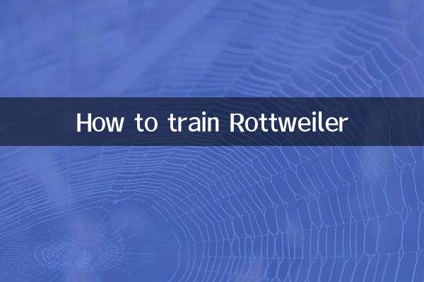 Como treinar Rottweiler
