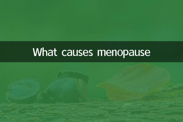 Cosa provoca la menopausa
