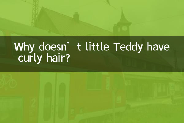 Por que o pequeno Teddy não tem cabelo cacheado?