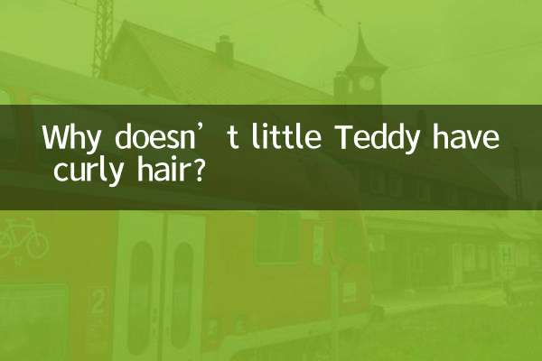 Why doesn’t little Teddy have curly hair?