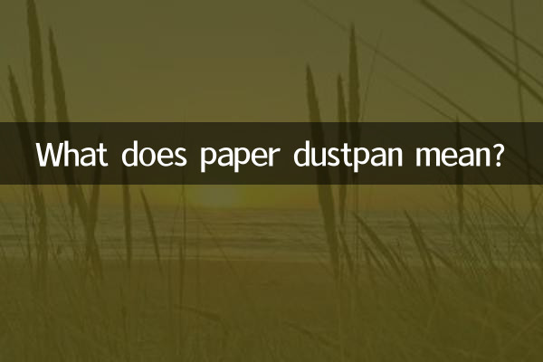 पेपर डस्टपैन का क्या मतलब है?