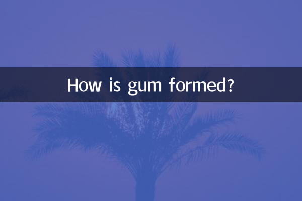 잇몸은 어떻게 형성되나요?