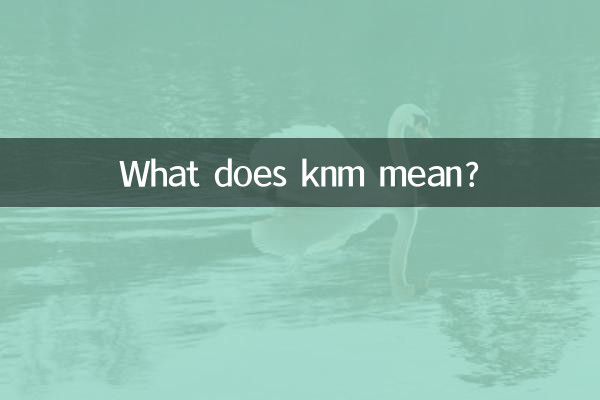 knm은 무슨 뜻인가요?