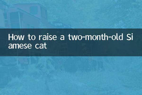 生後2ヶ月のシャム猫の育て方