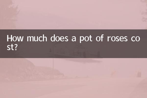 How much does a pot of roses cost?