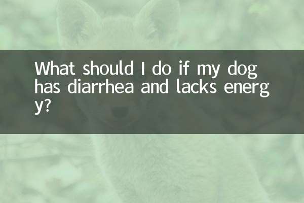 اگر میرے کتے کو اسہال ہے اور اس میں توانائی کا فقدان ہے تو مجھے کیا کرنا چاہئے؟