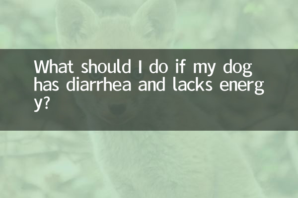 ¿Qué debo hacer si mi perro tiene diarrea y le falta energía?