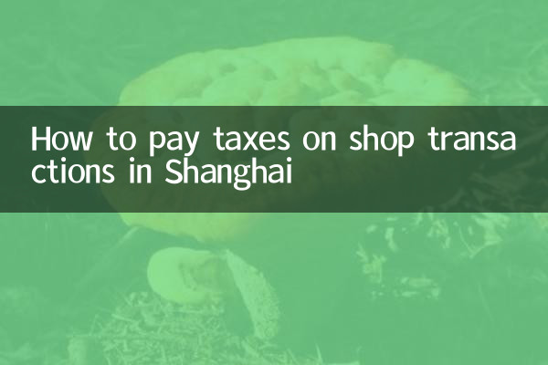 Come pagare le tasse sulle transazioni dei negozi a Shanghai