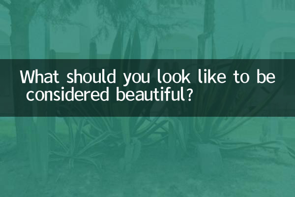 美しいと思われるためにはどのような外見をしているべきですか？