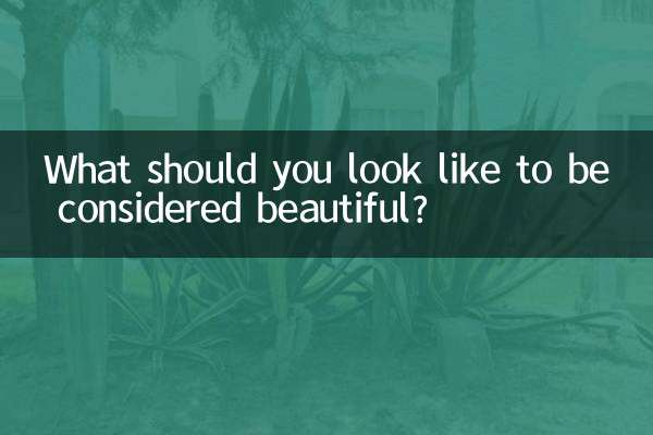 美しいと思われるためにはどのような外見をしているべきですか？