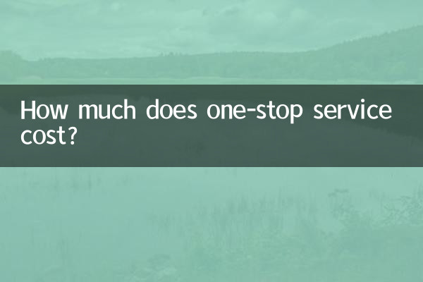 一條龍服務多少錢