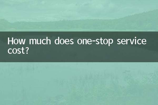 一條龍服務多少錢