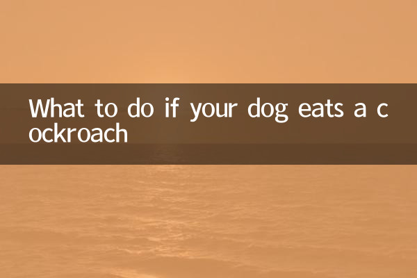 اگر آپ کا کتا کاکروچ کھاتا ہے تو کیا کریں