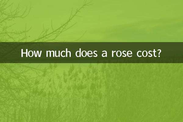 How much does a rose cost?