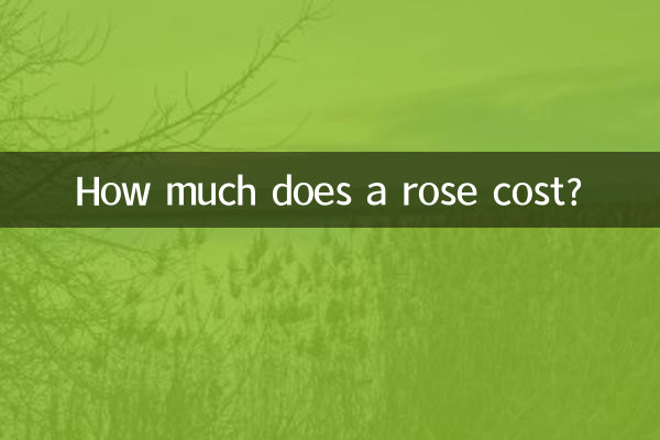 How much does a rose cost?