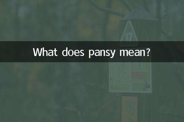 What does pansy mean?