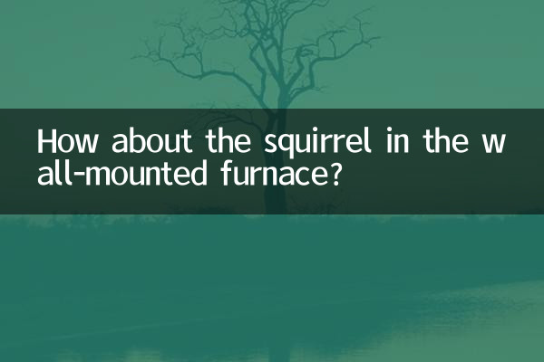 How about the squirrel in the wall-mounted furnace?