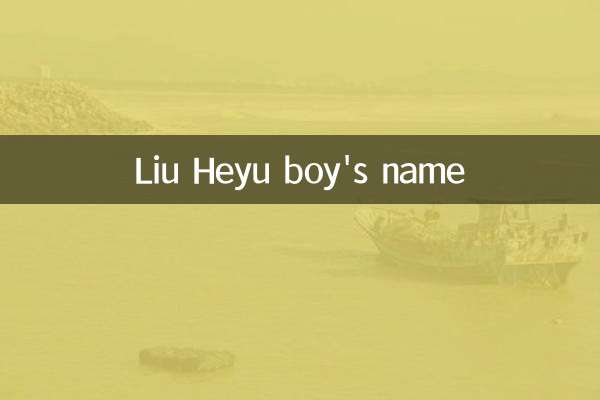 Liu Heyu boy's name