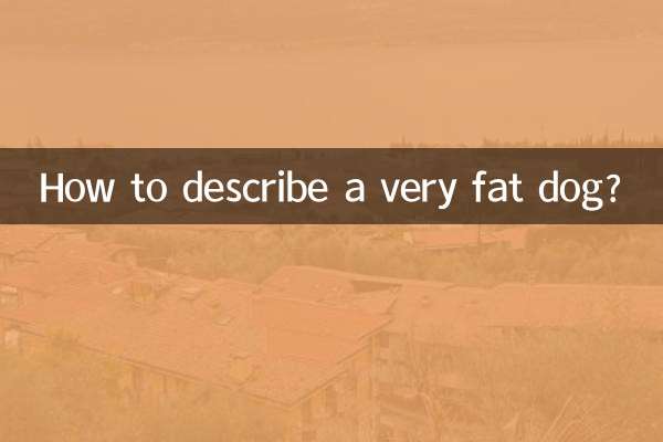 Come descrivere un cane molto grasso?