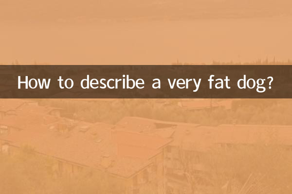 چگونه یک سگ بسیار چاق را توصیف کنیم؟