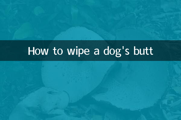 How to wipe a dog's butt