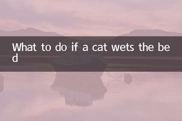 고양이가 침대에 오줌을 싸면 어떻게 해야 할까요?