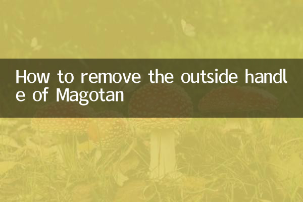 마고탄 외부 손잡이 분리 방법