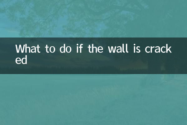 দেয়ালে ফাটল ধরলে কী করবেন