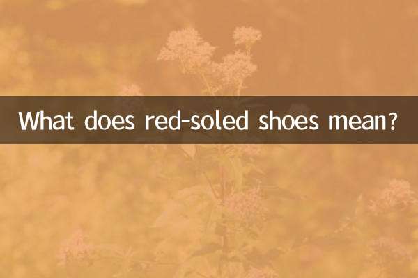 赤い靴底ってどういう意味ですか？