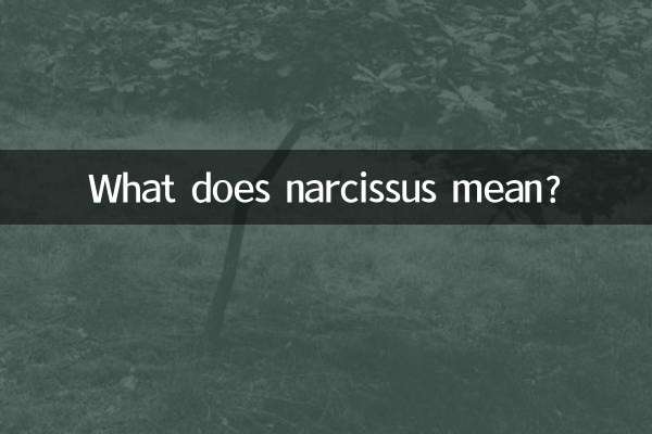 水仙とはどういう意味ですか？