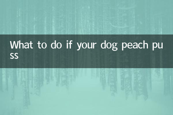 강아지가 복숭아 고름을 앓는다면 어떻게 해야 할까요?