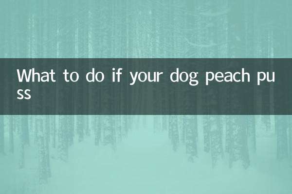 강아지가 복숭아 고름을 앓는다면 어떻게 해야 할까요?