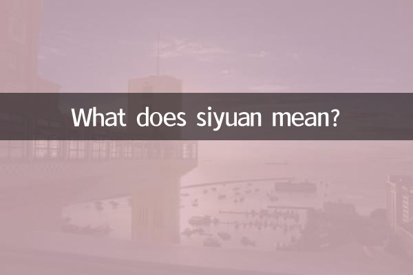 시위안은 무슨 뜻인가요?