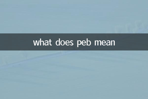 what does peb mean