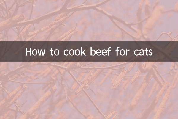 How to cook beef for cats