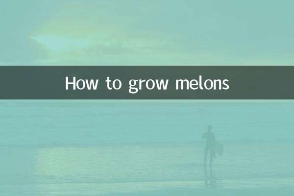 खरबूजे कैसे उगायें