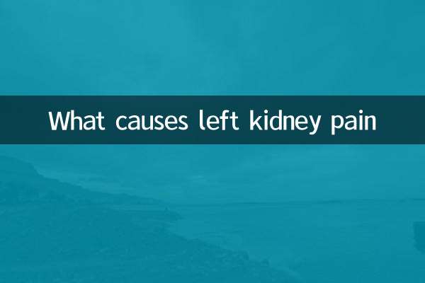 O que causa dor no rim esquerdo