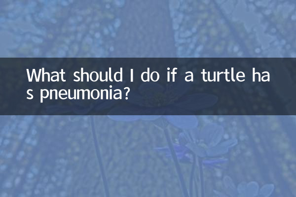 Que dois-je faire si une tortue a une pneumonie ?