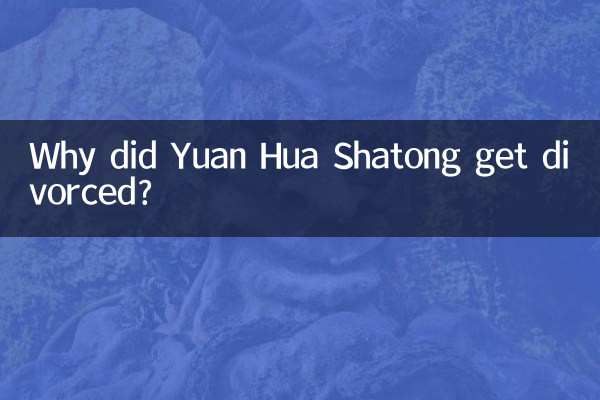 原华沙桐为什么离婚