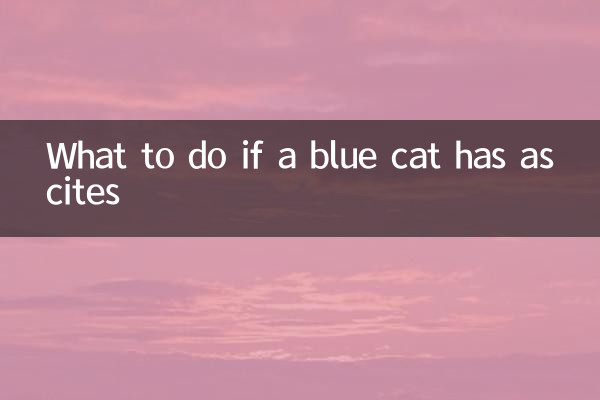 अगर नीली बिल्ली को जलोदर हो तो क्या करें?