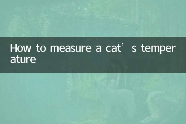 So messen Sie die Temperatur einer Katze
