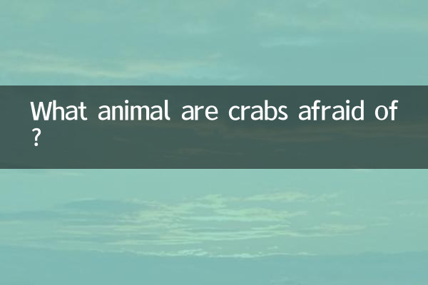 What animal are crabs afraid of?