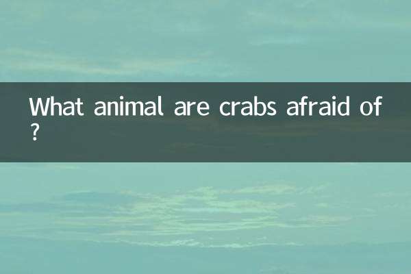 What animal are crabs afraid of?