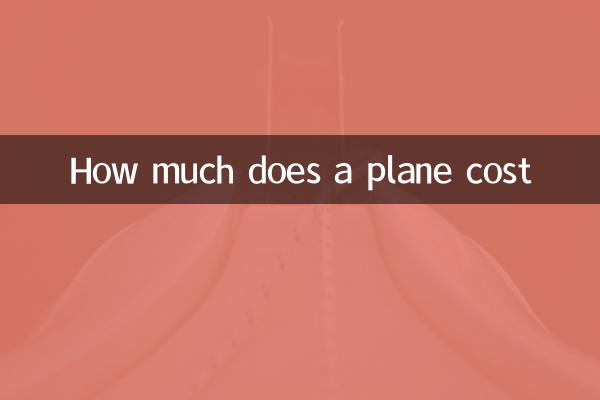 How much does a plane cost