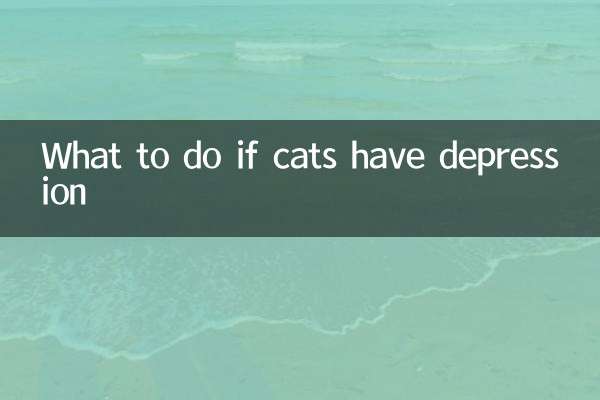 猫にうつ病がある場合はどうすればよいですか