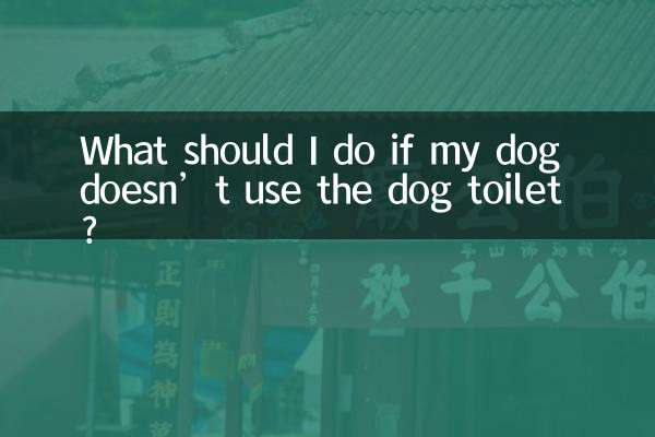 狗不用狗廁所怎麼辦